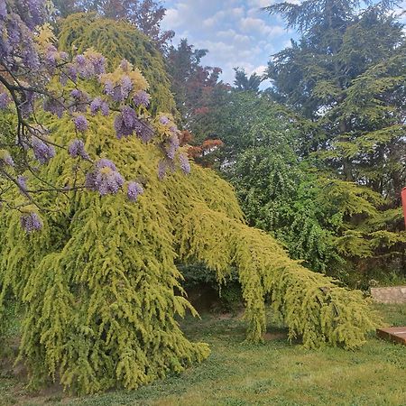 Gite Au Coeur De La Provence & Spa Saint-Cannat Εξωτερικό φωτογραφία