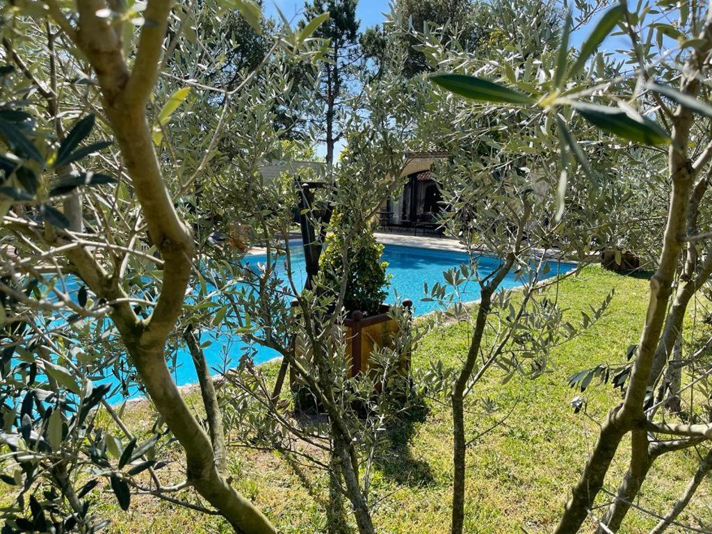 Gite Au Coeur De La Provence & Spa Saint-Cannat Εξωτερικό φωτογραφία