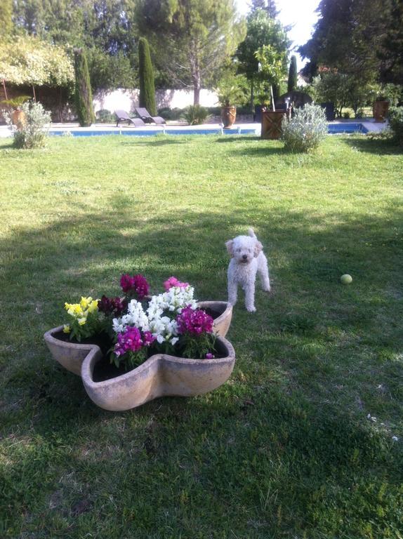 Gite Au Coeur De La Provence & Spa Saint-Cannat Δωμάτιο φωτογραφία